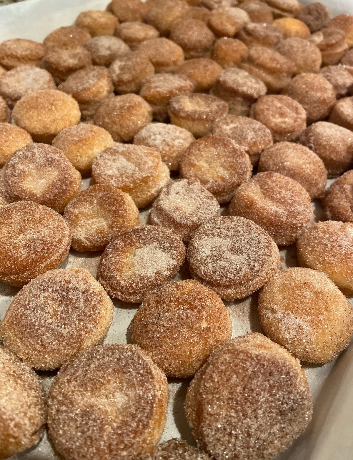 Spiced Apple Cider Jackson Holes